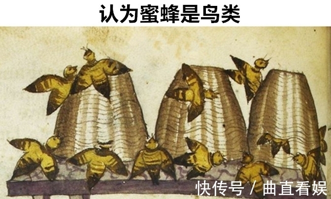 动物!在欧洲中世纪真实存在的,8件让现代人看起来很荒谬的事情