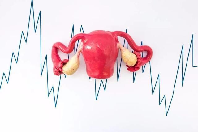 陈大夫|月经少与生孩子有关吗？宫颈管多长正常？
