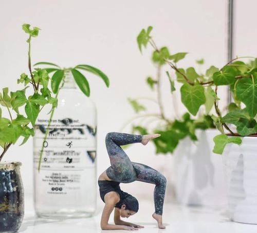 拉伸|万事开头难,既然下定决心练习瑜伽,就要矢志不渝地坚持下去