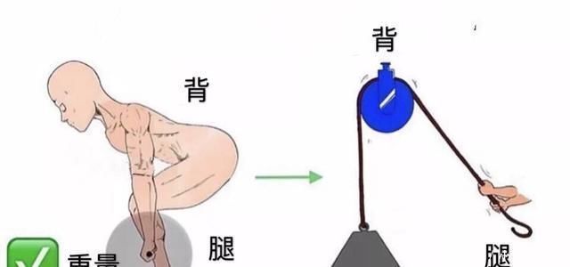 动作|5种最棒的背部训练方法,帮你打造更加宽阔厚实的背部肌群