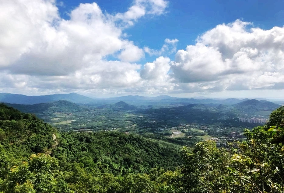 休闲|雨林观光、文化风情、休闲体验、健康养生——游呀诺达雨林文化旅游区