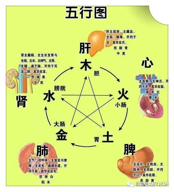  面部皮肤|病于内 , 形于外