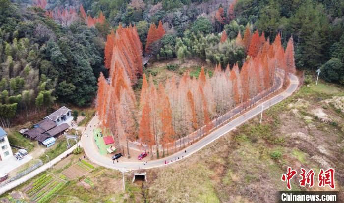 龙栖山|500余名跑者福建龙栖山上演速度与激情较量