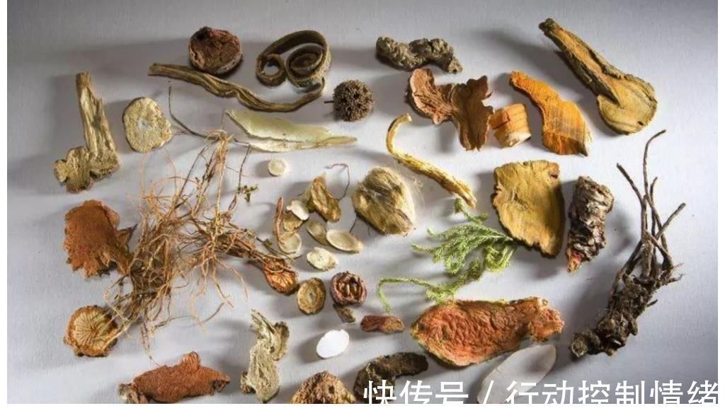 肝炎|每天认识一味中草,肝炎的“灭火剂”,敞开吃,肝一天比一天好