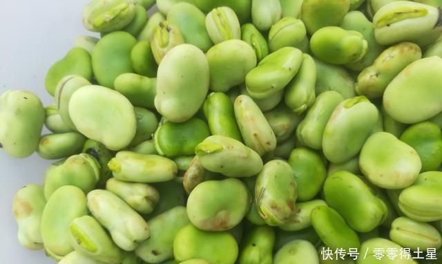 回锅肉|让我们来一盘回锅肉炒蚕豆,荤素搭配更有营养,你值得拥有