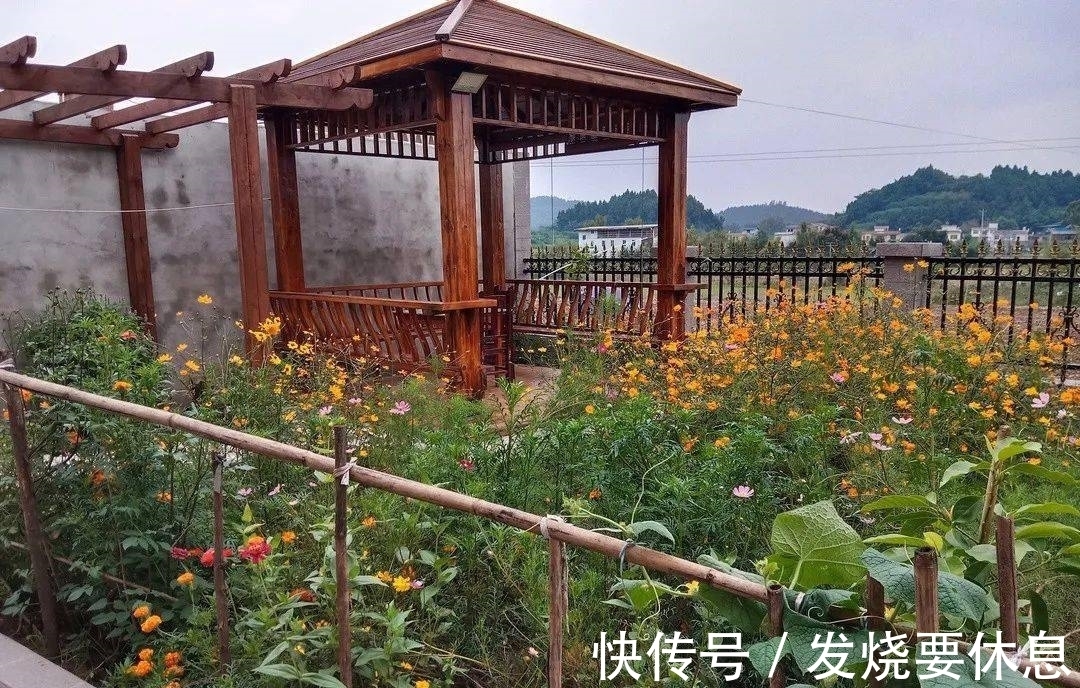 盆景变风景花园变家园简阳这些乡村小院里藏着“桃花源”