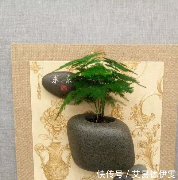 大爷用石头来养花,越养越值钱,有人出1000块也不卖!