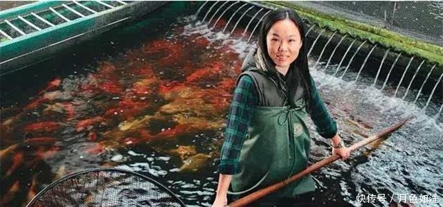 不顾|当年不顾父母反对,回家养鱼的清华才女钟莹莹,今一条鱼卖上千万
