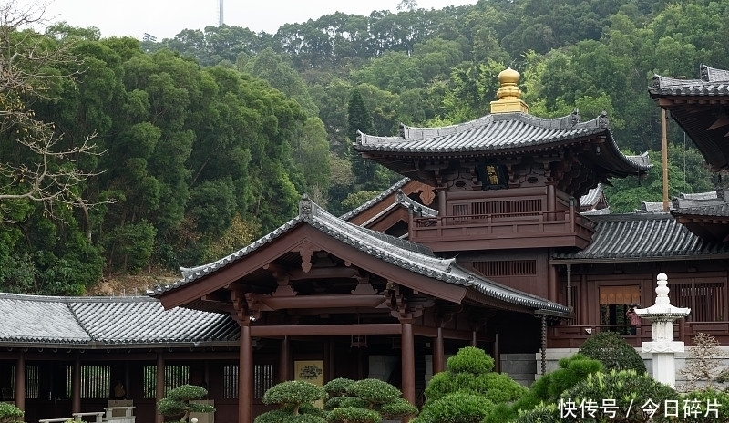 身离|90岁老僧的说:离开这贪心,清净心在哪里?能懂就开悟了