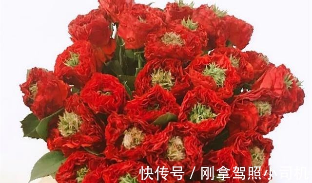 比较受欢迎的10款进口玫瑰花,一直都供不应求,你粉了吗