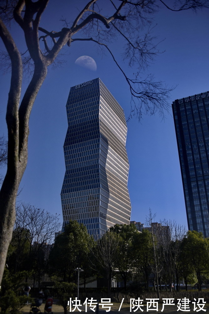 老年|新虹口花园的玉兰花开了【严建设】