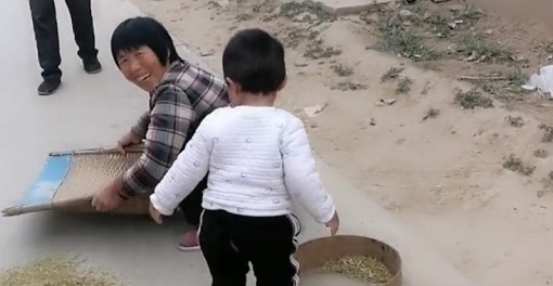 干活|“勤劳奶奶”带娃干农活火了,萌娃“尽情摇摆”的模样超起劲