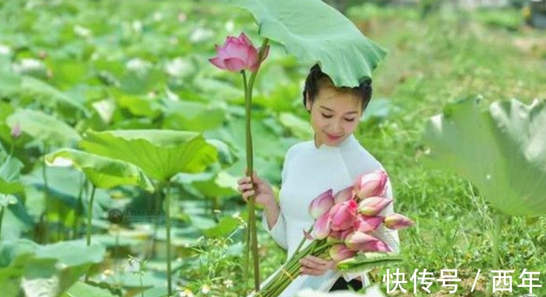 西洲|“南风知我意,吹梦到西洲”,这首绝美古诗,深情的人都应该读读