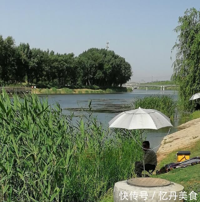 大鱼|高温天,钓大鱼先克服这些“难题”,不是我吹,渔获瞬间猛增几倍