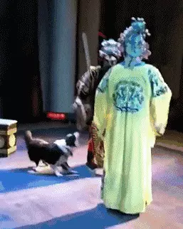 搞笑GIF:骚年,这是你想要的小姐姐吗? GIF动图 第12张-福利吧