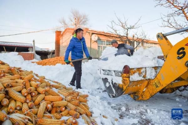 内蒙古对强暴雪受灾困难群众实施救助 快资讯