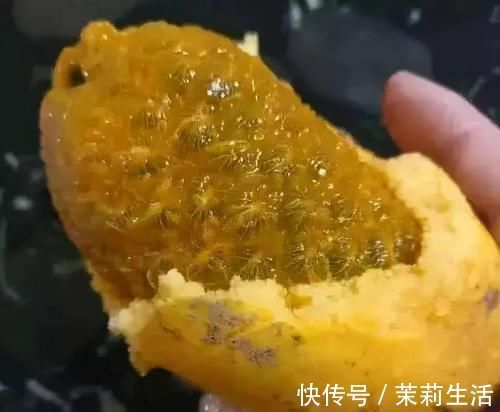 营养|聪明的人爱吃3种食物,补充营养、滋润身体,早吃早受益!