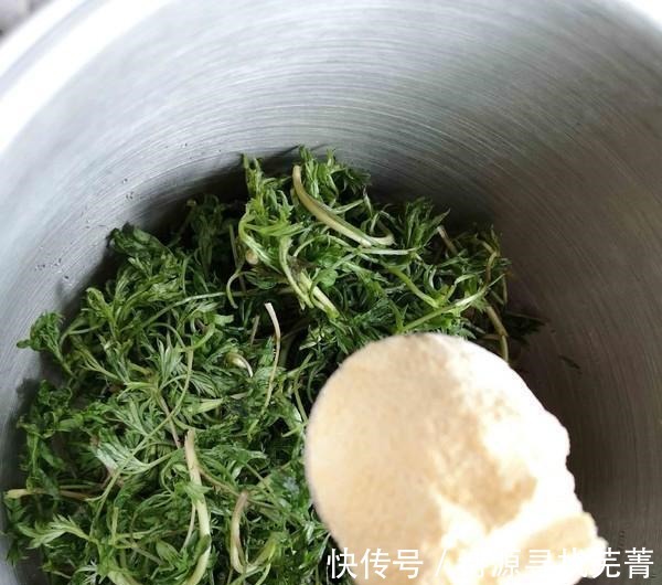 日本人|日本人每天必吃的“长寿菜”,我国产量大但没人吃,含钙比牛奶高!