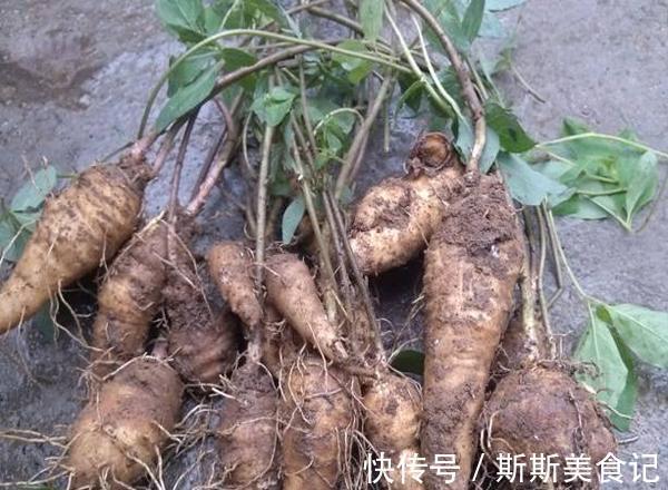 女人|子宫不好的女人,在月经期间常喝3种汤,子宫悄悄变好