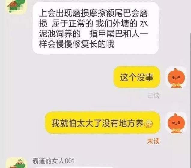 |“当客服混入了段子手”画风也带跑偏了哈哈哈哈