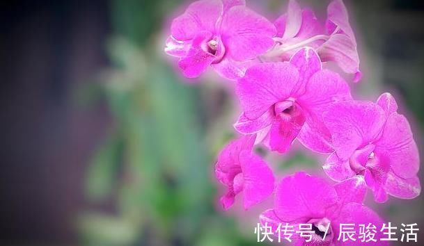 卵巢早衰|女性雌激素即将“断流”时，请不要再吃2物了，别等绝经了才后悔