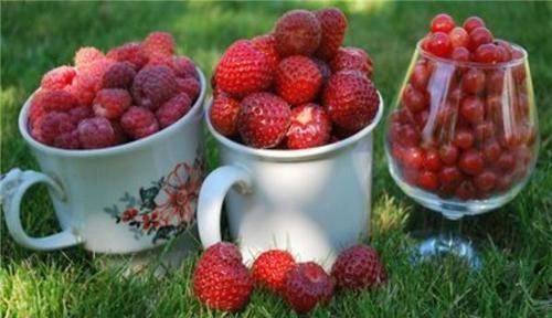 马蹄|最有营养的3种食物,值得天天吃一些,增强体质,好处多多