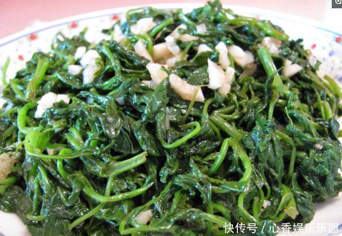 生长发育|农村此野菜,贱生长,能降压止痛,预防贫血,促进儿童生长发育