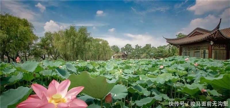 它是南京第一名湖，地位不输西湖，名气不输玄武湖，却少有人知
