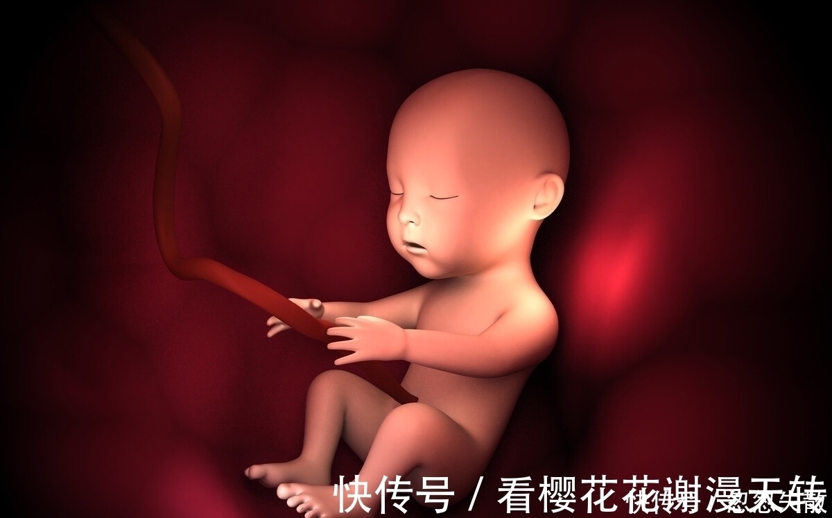 妈妈|胎宝在妈妈肚子里无聊不?是时候告诉孕妈真相了,怪可爱的