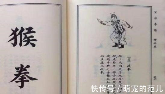 西夏$“将不过李,王不过项,力不过霸,拳不过金”最后的金,是指谁!