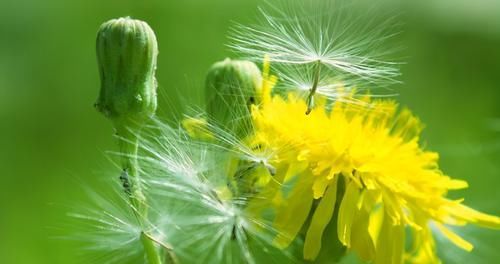 人到中年,常食3种食物,补充营养、延缓衰老,早吃早受益!