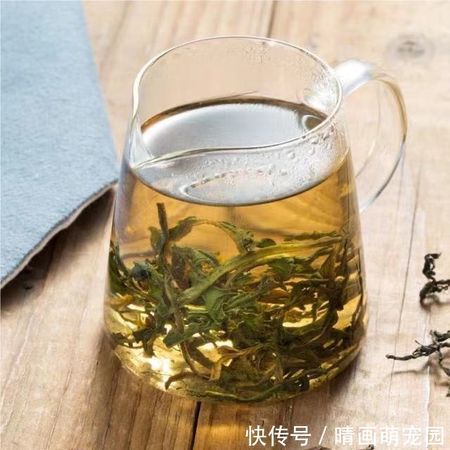 本草新编|自己“晒干”的蒲公英,能用来“当茶”喝吗?有什么功效呢?