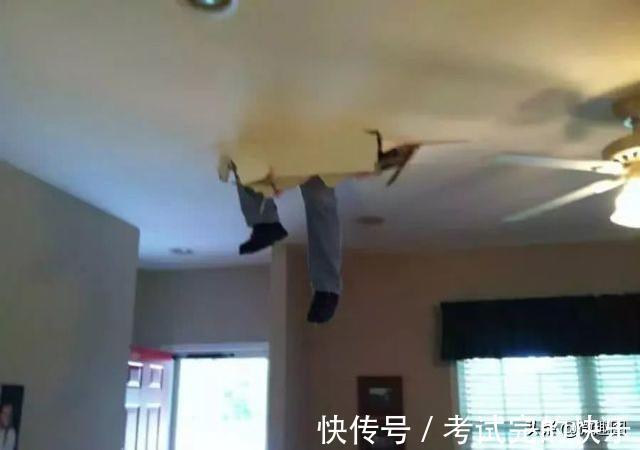 |47张“倒霉又搞笑”的图片,这些人上辈子是毁灭了银河系吗?