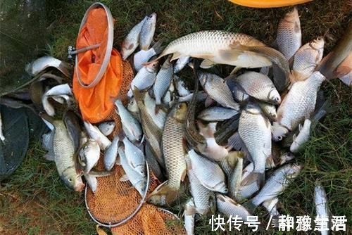 短子线|秋末钓鲫鱼,子线用长还是用短这样选更科学,中鱼率飙升几倍