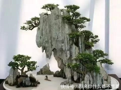 世界上又一奢侈品《盆栽》一盆就是一座房子!