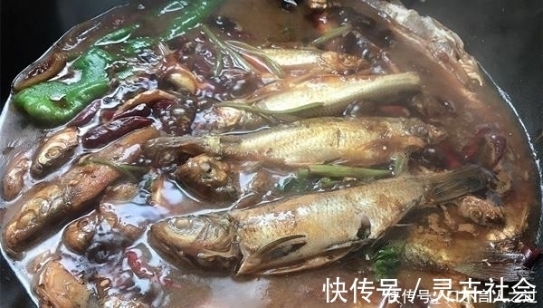 浮漂|夏天水库手竿钓翘嘴，注意这些要点，翘嘴连竿上，狂拉到手酸