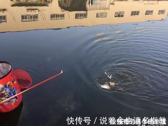 渔具|别拿野钓装备去玩黑坑，新手入坑须知：先得把这些渔具买齐了