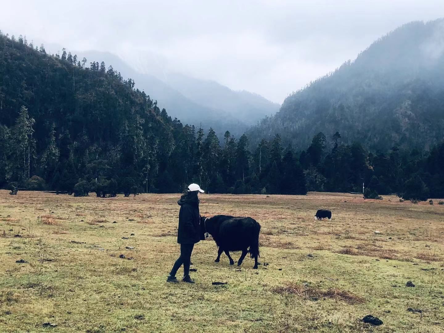 纳瓦拉|林芝试驾纳瓦拉，邂逅中国最美雪山——南迦巴瓦峰