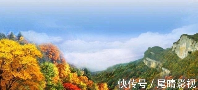 世界自然遗产|法国游客看到重庆“金佛山”，网友赞叹：这真是世界自然遗产！