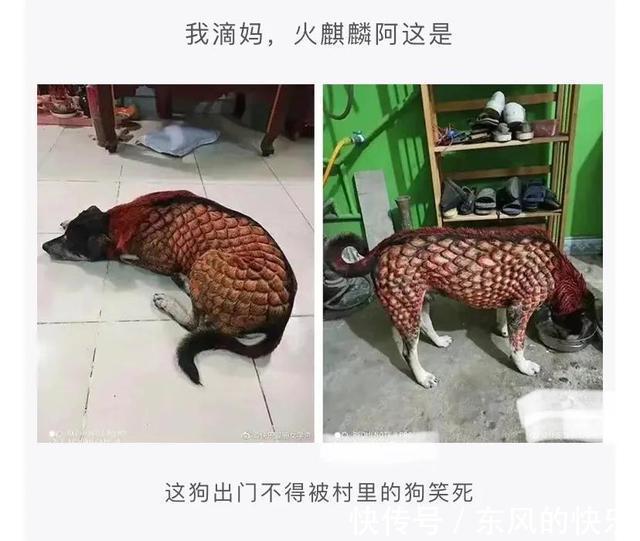 |神评段子合集:你为了挽回一个人有多努力?评论扎心了……