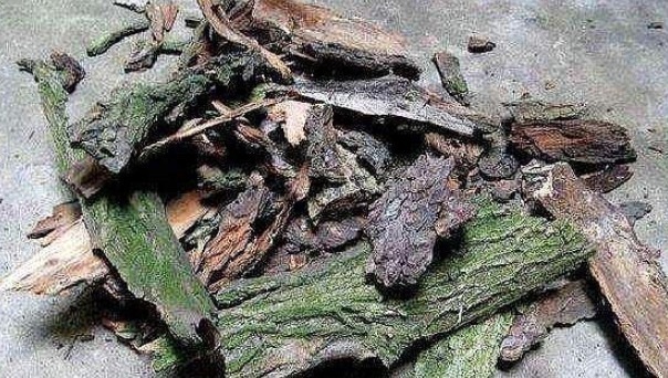 营养土不要买，出门捡几种“垃圾”扔盆里，疏松透气、不烂根