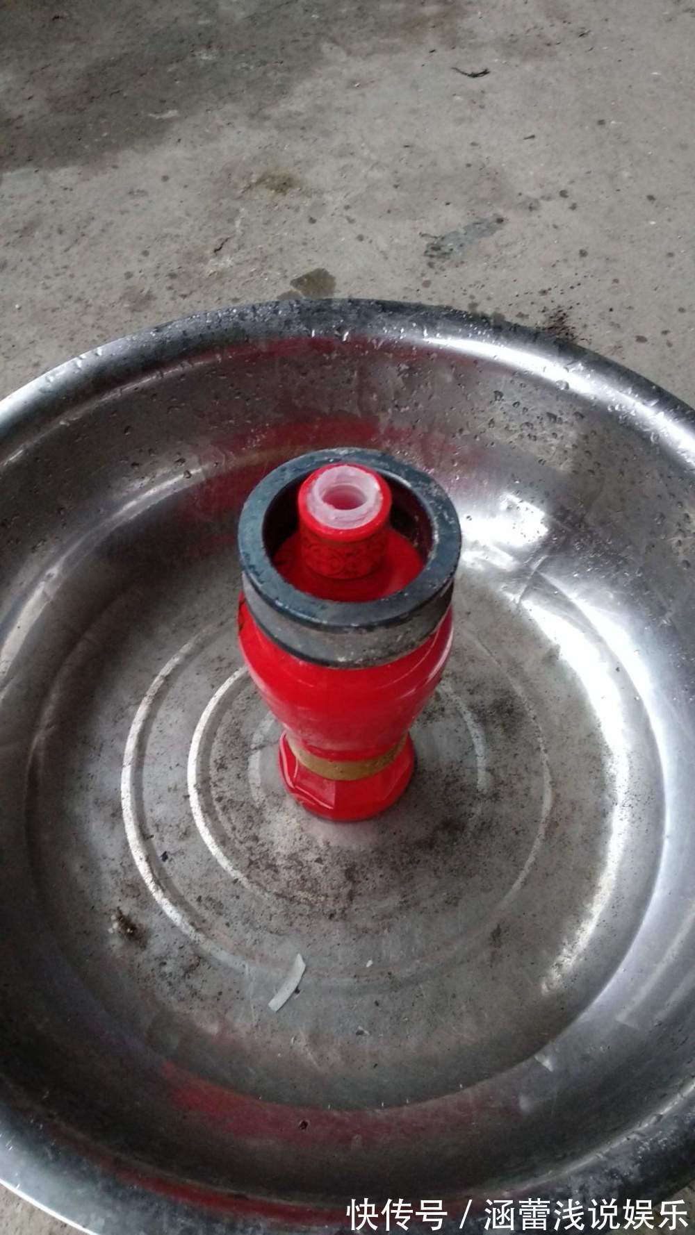 用废弃酒瓶，自己制作花盆，还不用切割机，再也不花钱买花盆了