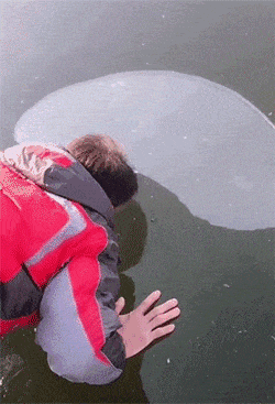 |搞笑GIF:太意外了,完全出乎我意料