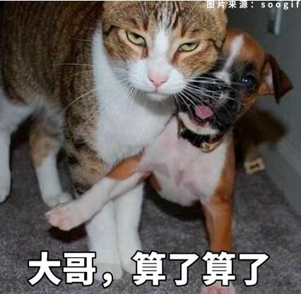 没有它，我会死