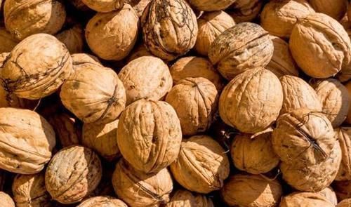  核桃被称“万岁子”“长寿果”，教你4种最营养吃法，治病保长寿