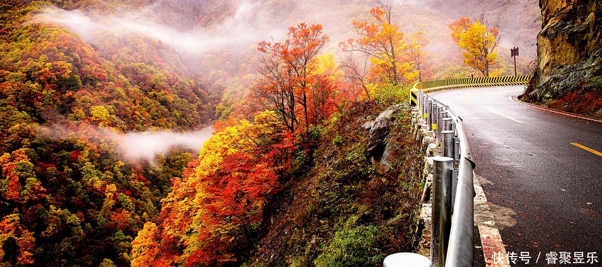 美丽|秋光乍泄 美景成诗 秋日的神农架 一定会惊艳到你