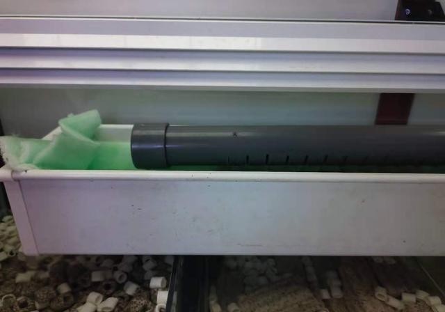 滤棉|鱼缸的滤棉有很多品种,无外乎粗滤、细滤两种,应该如何选择?