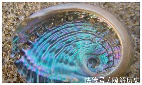 宁心|一味不被人熟知的中药,常被人抛弃,这药有助清肝明目,宁心安神