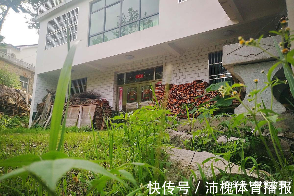 杂草|山村楼房装修豪华,门前堆满柴火,2个儿子3年没回家