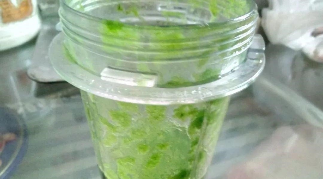 养花|自制养花杀菌水,7天浇一勺,花不生虫不烂根